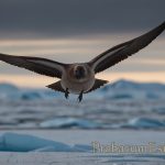 Antarctic Treaty System Antarctic Treaty System