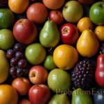 Fruits - Nature's Nutritious Candy Fruits - Nature's Nutritious Candy